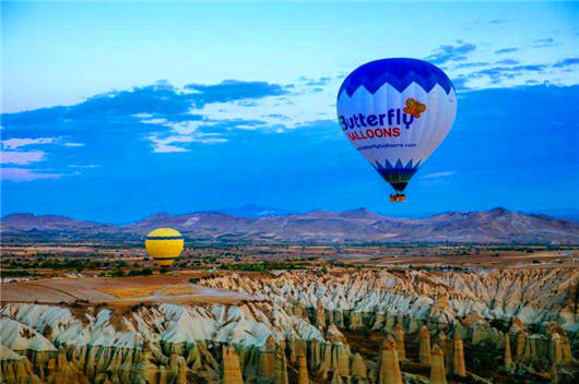 1589100189412803.jpg 圖片2.jpg