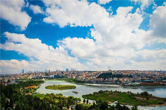 1595223397987708.jpg 60.jpg