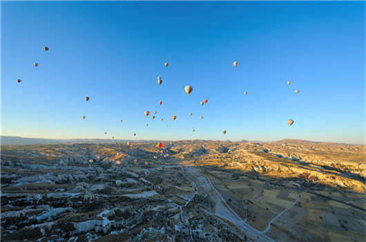 1597132737854137.jpg 15.JPG