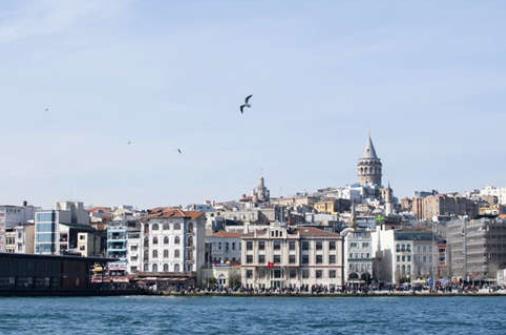 1630316653872469.jpg 1.jpg