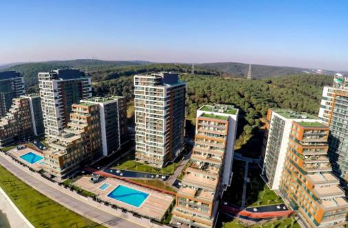 1639559118309871.jpg 1.jpg