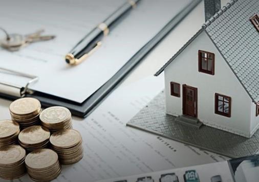 1640164645711272.jpg 1.jpg